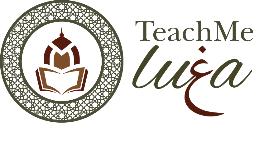 TeachMeLuga Logo
